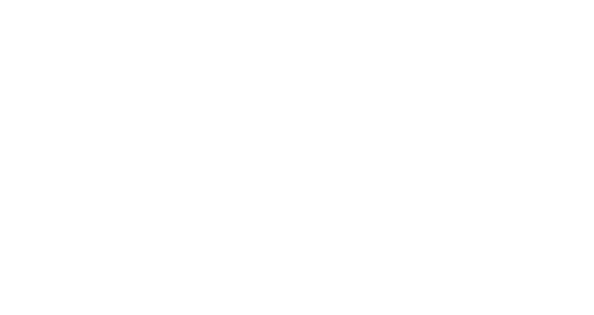 BMC Cyber, Cyber Security